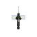 Shock absorber MM-01029 Japanparts