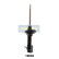 Shock Absorber MM-10004 Japanparts, Thumbnail 3