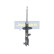 Shock Absorber MM-20007 Japanparts, Thumbnail 4