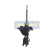 Shock Absorber MM-40021 Japanparts