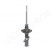 Shock Absorber MM-56501 Japanparts