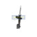 Shock absorber MM-70025 Japanparts, Thumbnail 2