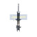 Shock Absorber MM-80005 Japanparts, Thumbnail 4