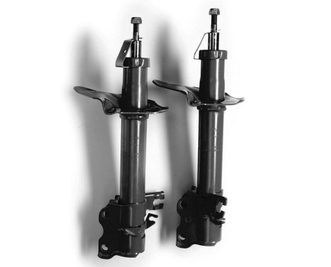 Shock Absorber MONROE ADVENTURE D0019, Image 2