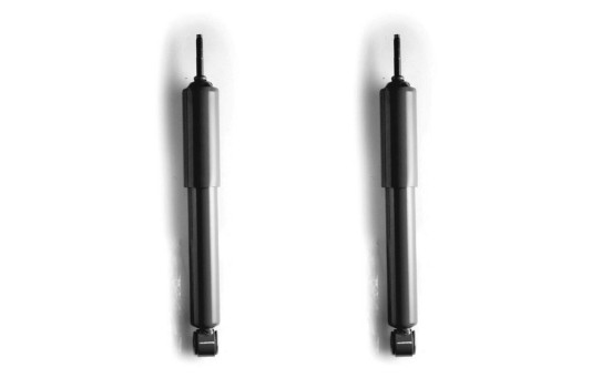 Shock Absorber MONROE ADVENTURE D2113, Image 2