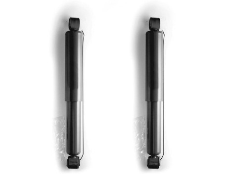 Shock Absorber MONROE ADVENTURE D4469, Image 2