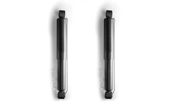 Shock Absorber MONROE ADVENTURE D4469, Image 2
