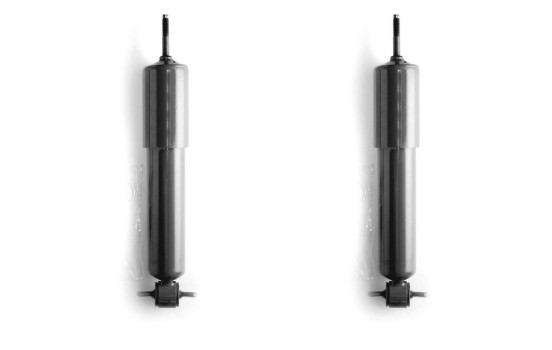 Shock Absorber MONROE ADVENTURE D6424, Image 2