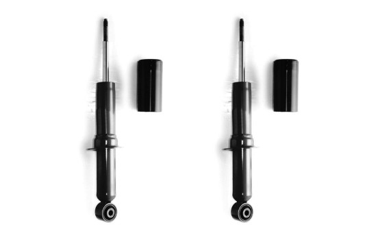 Shock Absorber MONROE ADVENTURE D8344, Image 2