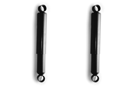 Shock Absorber MONROE ADVENTURE D8409, Image 2