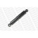 Shock Absorber MONROE MAGNUM Axle F5175, Thumbnail 2