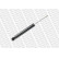 Shock Absorber MONROE ORIGINAL (Gas Technology) 43133
