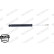 Shock Absorber MONROE ORIGINAL (Gas Technology) G1098, Thumbnail 4