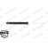 Shock Absorber MONROE ORIGINAL (Gas Technology) G1134, Thumbnail 5