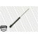 Shock Absorber MONROE ORIGINAL (Gas Technology) G15028, Thumbnail 2