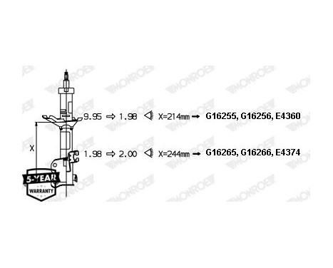 Shock Absorber MONROE ORIGINAL (Gas Technology) G16255, Image 5