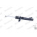 Shock Absorber MONROE ORIGINAL (Gas Technology) G16384, Thumbnail 6