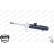 Shock Absorber MONROE ORIGINAL (Gas Technology) G16493