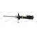 Shock Absorber MONROE ORIGINAL (Gas Technology) G7304, Thumbnail 2