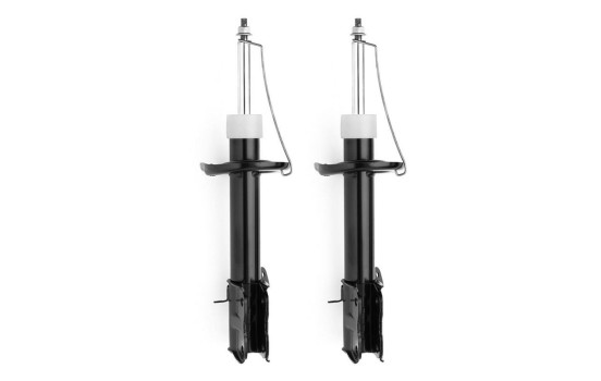 Shock Absorber MONROE ORIGINAL (Gas Technology) G7366, Image 2