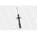 Shock Absorber MONROE ORIGINAL (Gas Technology) G7379, Thumbnail 5