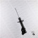Shock Absorber MONROE ORIGINAL (Gas Technology) G7473, Thumbnail 3