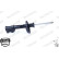 Shock Absorber MONROE ORIGINAL (Gas Technology) G8107, Thumbnail 5