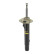 Shock Absorber MONROE ORIGINAL (Gas Technology) G8294, Thumbnail 8