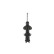 Shock Absorber MONROE ORIGINAL (Gas Technology) G8374, Thumbnail 4