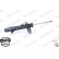 Shock Absorber MONROE ORIGINAL (Gas Technology) G8810, Thumbnail 4