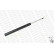 Shock Absorber MONROE ORIGINAL (Gas Technology) MG998, Thumbnail 2