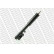 Shock Absorber MONROE ORIGINAL R11004