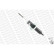 Shock Absorber MONROE ORIGINAL R6521, Thumbnail 4