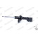 Shock Absorber MONROE ORIGINAL R7613, Thumbnail 5