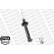 Shock Absorber OESpectrum 376012SP Monroe, Thumbnail 9