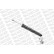 Shock Absorber OESpectrum 376015SP Monroe, Thumbnail 7