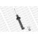 Shock Absorber OESpectrum 376016SP Monroe, Thumbnail 7