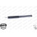 Shock Absorber OESpectrum 376037SP Monroe, Thumbnail 3