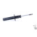 Shock Absorber OESpectrum 376049SP Monroe