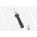 Shock Absorber OESpectrum 376073SP Monroe, Thumbnail 3