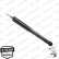 Shock Absorber OESpectrum 376075SP Monroe, Thumbnail 2