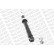 Shock Absorber OESpectrum 376076SP Monroe, Thumbnail 3