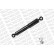 Shock Absorber OESpectrum 376097SP Monroe, Thumbnail 5