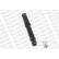 Shock Absorber OESpectrum 376097SP Monroe, Thumbnail 7