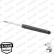 Shock Absorber OESpectrum 376157SP Monroe