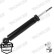 Shock Absorber OESpectrum 376204SP Monroe, Thumbnail 4