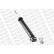 Shock Absorber OESpectrum 376204SP Monroe, Thumbnail 8