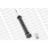 Shock Absorber OESpectrum 376216SP Monroe, Thumbnail 3