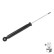 Shock Absorber OESpectrum 376228SP Monroe