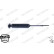 Shock Absorber OESpectrum 5801ST Monroe, Thumbnail 10